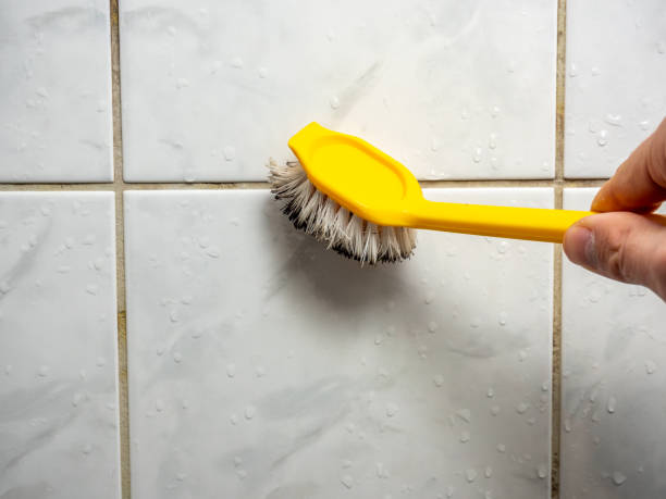Best Mold Remediation  in Pine Level, NC
