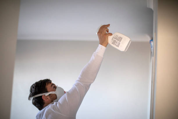 Best Mold Removal Company Near Me  in Pine Level, NC