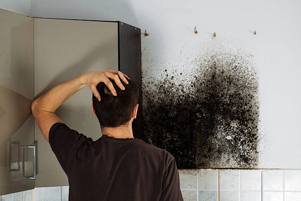 Best Crawl Space Mold Removal  in Pine Level, NC